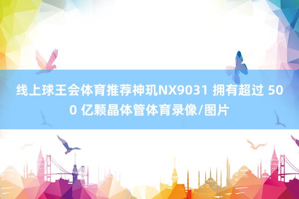 线上球王会体育推荐神玑NX9031 拥有超过 500 亿颗晶体管体育录像/图片