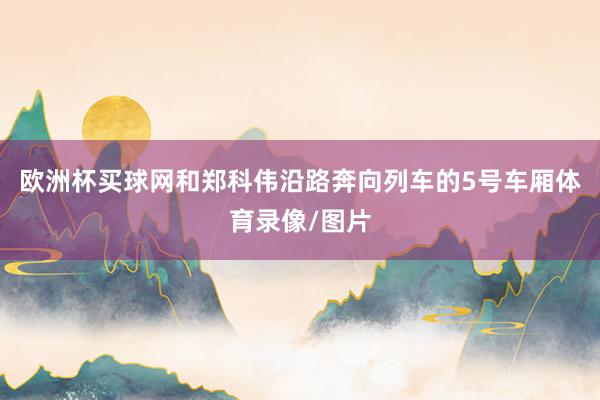 欧洲杯买球网和郑科伟沿路奔向列车的5号车厢体育录像/图片