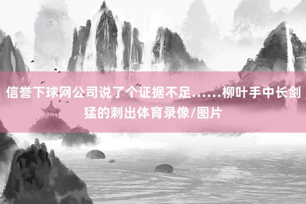 信誉下球网公司说了个证据不足……柳叶手中长剑猛的刺出体育录像/图片