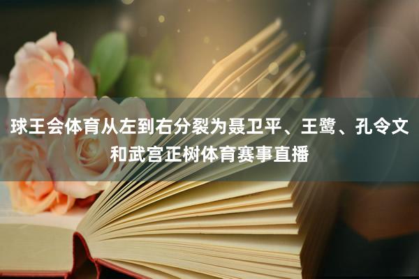 球王会体育从左到右分裂为聂卫平、王鹭、孔令文和武宫正树体育赛事直播