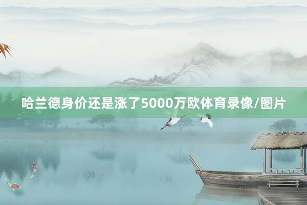 哈兰德身价还是涨了5000万欧体育录像/图片