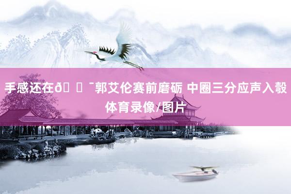 手感还在🎯郭艾伦赛前磨砺 中圈三分应声入彀体育录像/图片