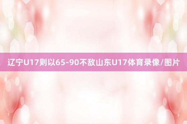 辽宁U17则以65-90不敌山东U17体育录像/图片